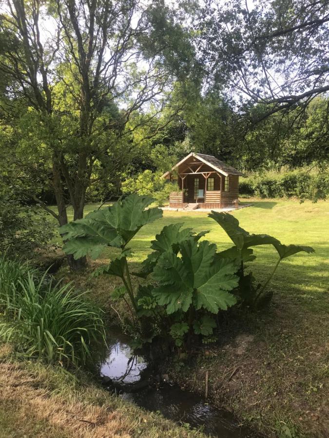 La Paix, Gite Bucolique En Normandie Conde-sur-Noireau ภายนอก รูปภาพ