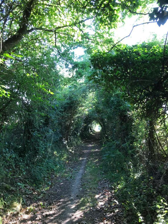 La Paix, Gite Bucolique En Normandie Conde-sur-Noireau ภายนอก รูปภาพ